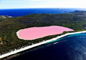 This pink lake comprises an integral part of weird google earth