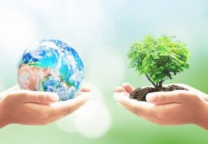 How are Earth Day and Environment Day different